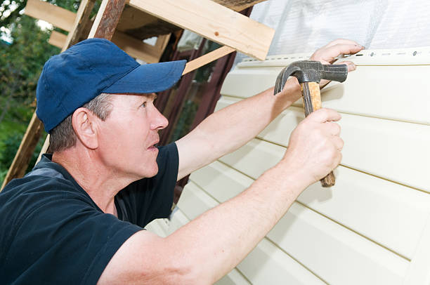 Best Siding Repair  in Leslie, MI