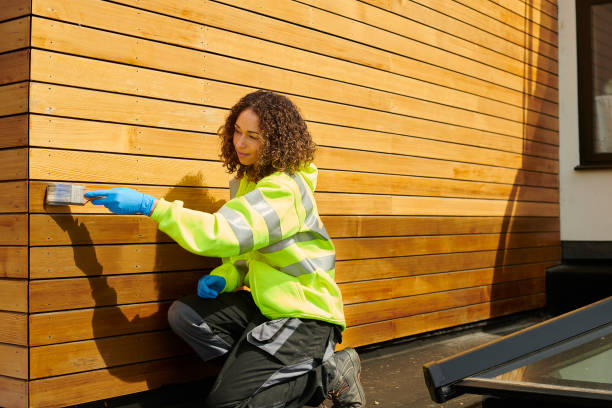 Best Aluminum Siding Installation  in Leslie, MI