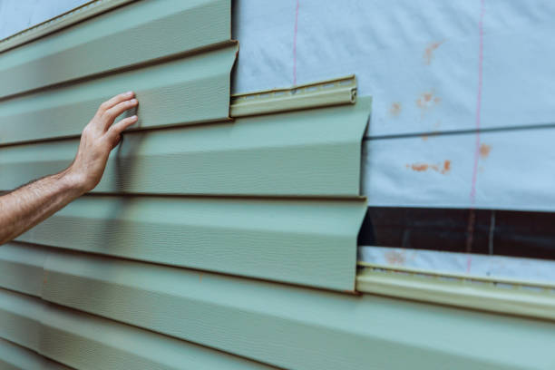 Best Steel Siding Installation  in Leslie, MI